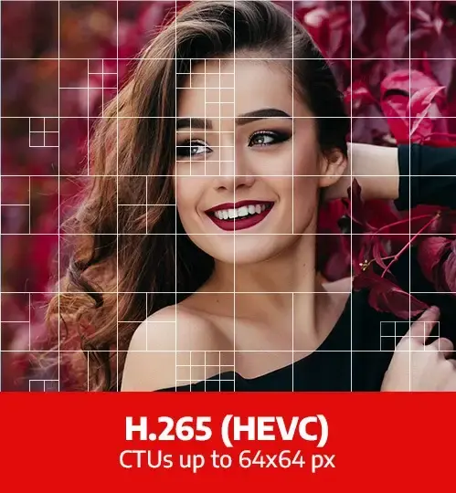 visual-h.265.webp
